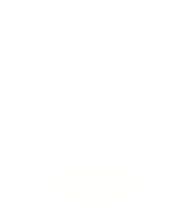 Erzurumspor Kulüp Logosu