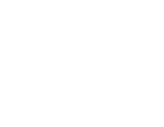 Venezia Kulüp Logosu